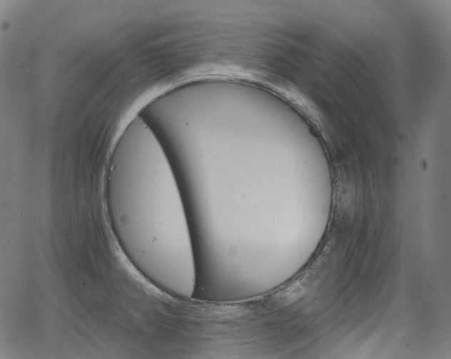 X0000063501382200601201015