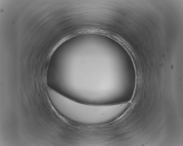 X0000063501385200601201015
