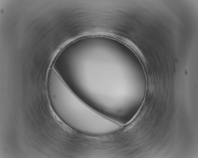 X0000063501388200601201015
