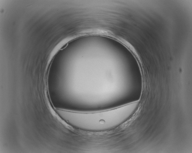 X0000063501389200601201015
