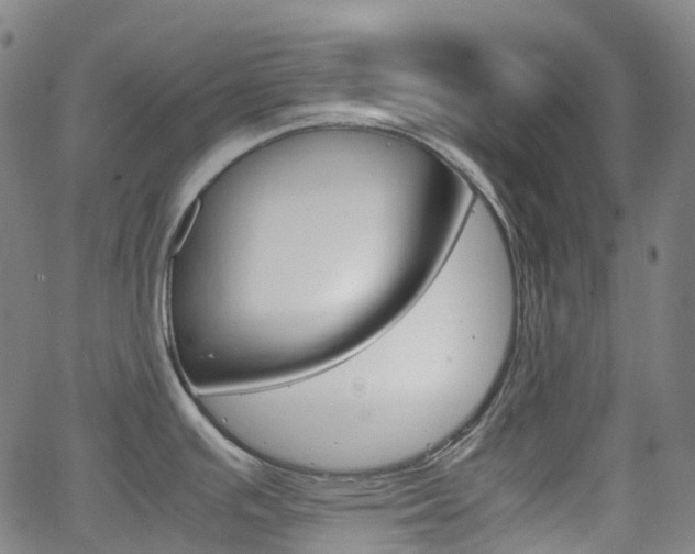 X0000063501391200601201015