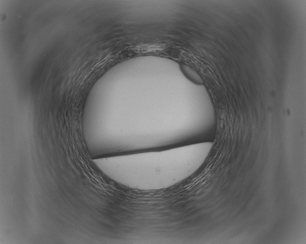 X0000063501393200601201014