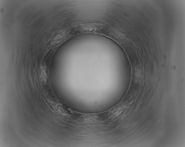 X0000063501394200601201014