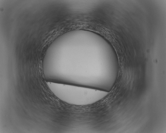 X0000063501397200601201014