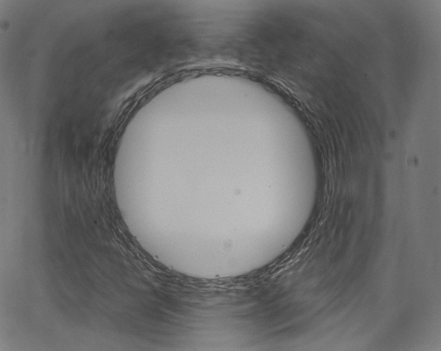 X0000063501398200601201014