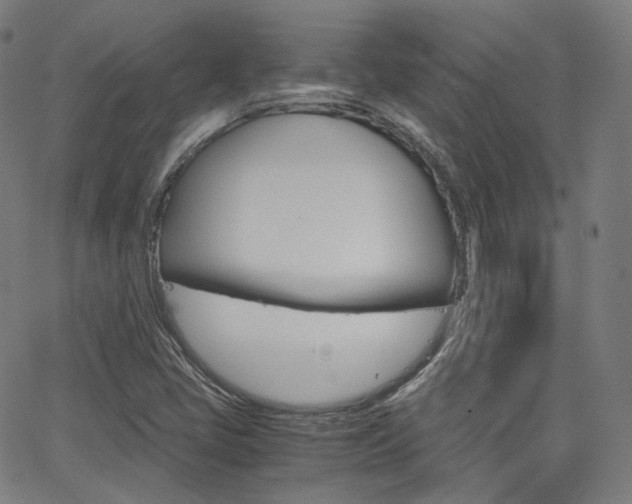 X0000063501405200601201014