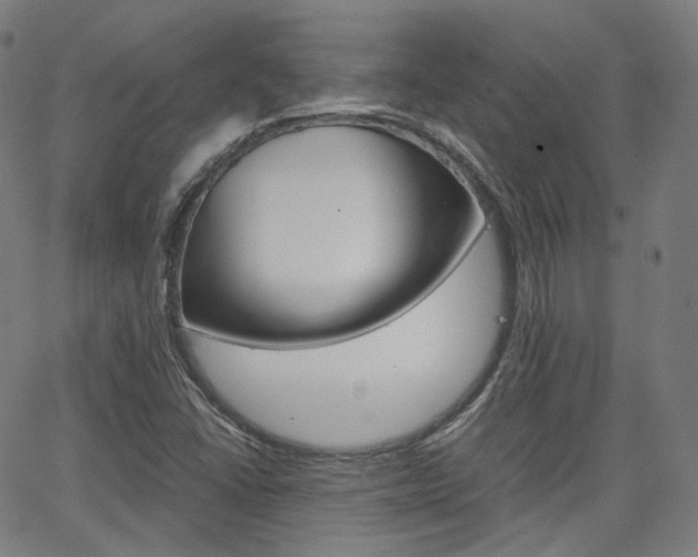 X0000063501406200601201014