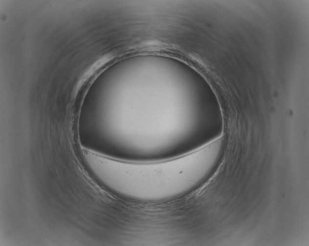 X0000063501410200601201014
