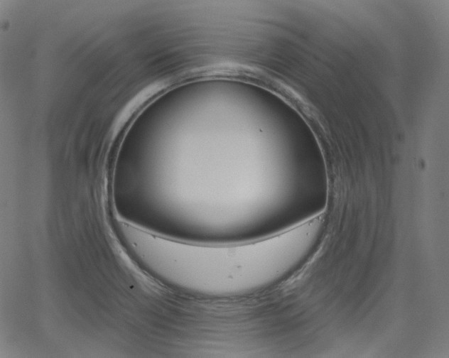 X0000063501418200601201015