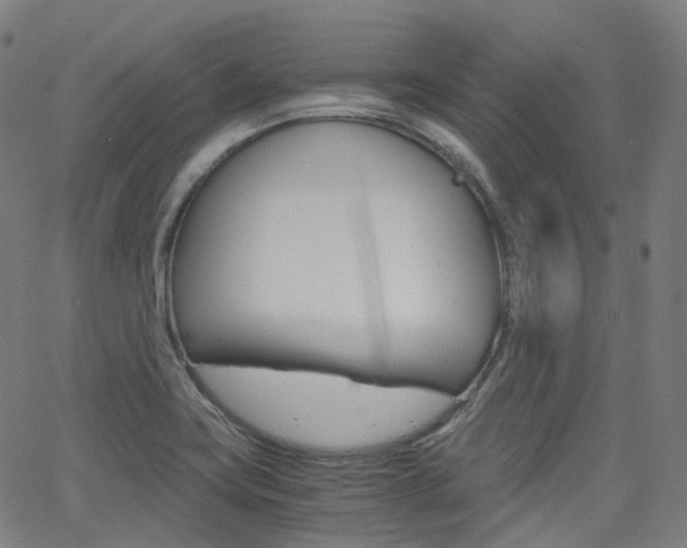 X0000063501419200601201015