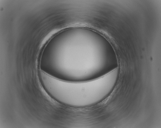 X0000063501422200601201015