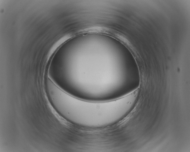 X0000063501426200601201015