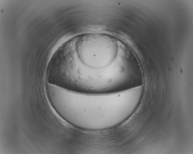 X0000063501432200601201015