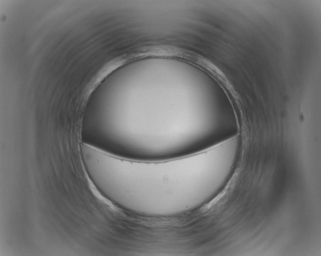 X0000063501433200601201015