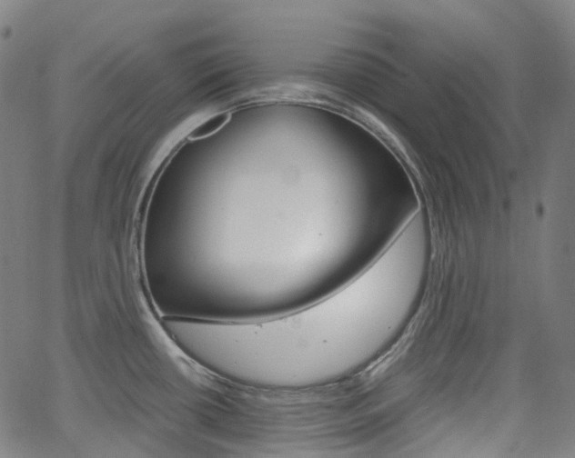 X0000063501434200601201015