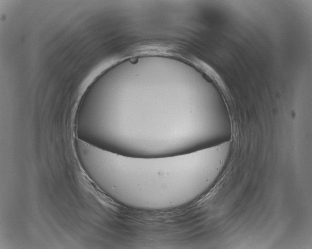 X0000063501435200601201015