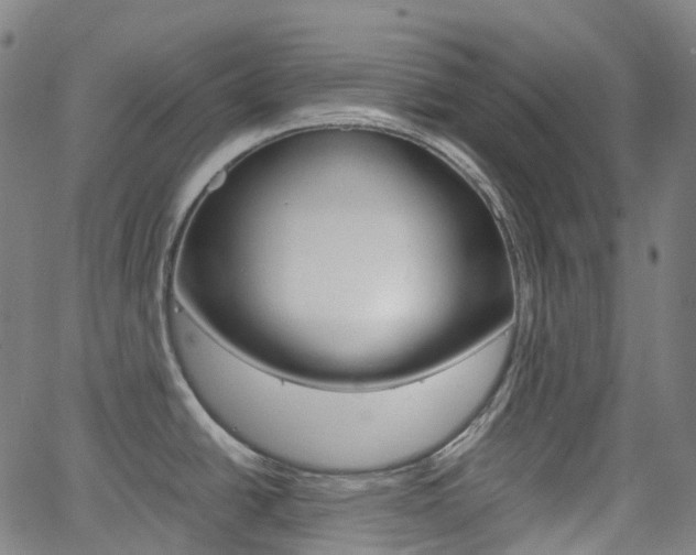 X0000063501438200601201015