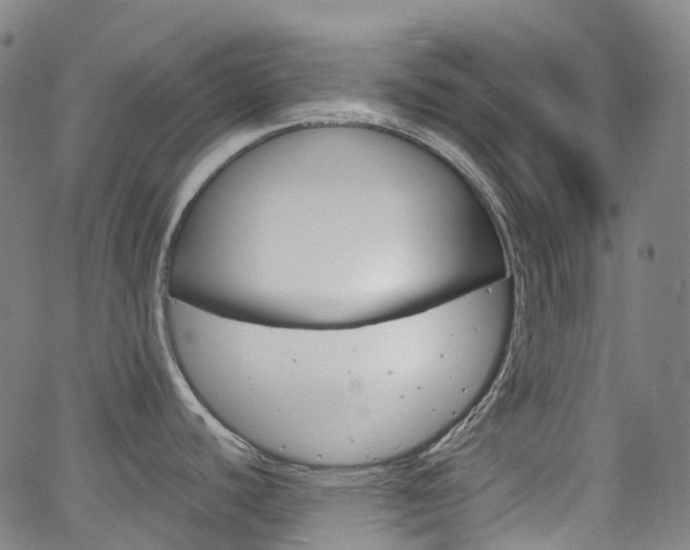 X0000063501440200601201015
