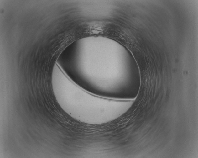 X0000063501442200601201014
