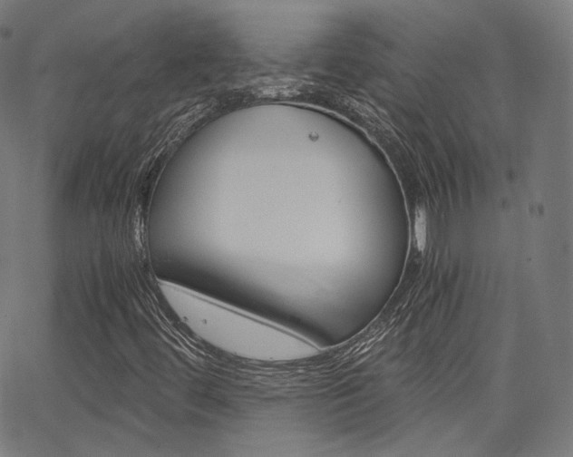 X0000063501444200601201014