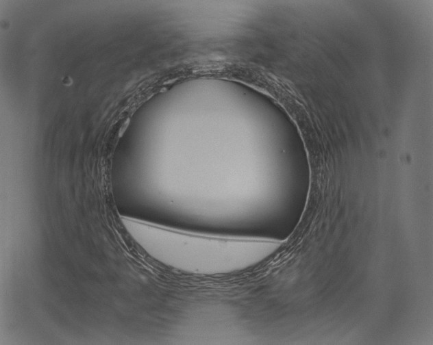 X0000063501445200601201014