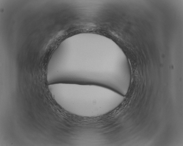 X0000063501447200601201014