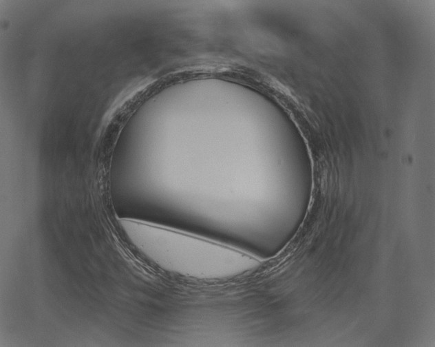 X0000063501448200601201014