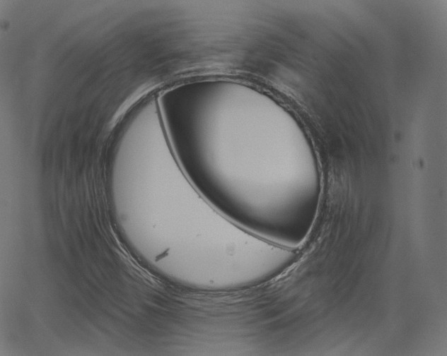 X0000063501450200601201014