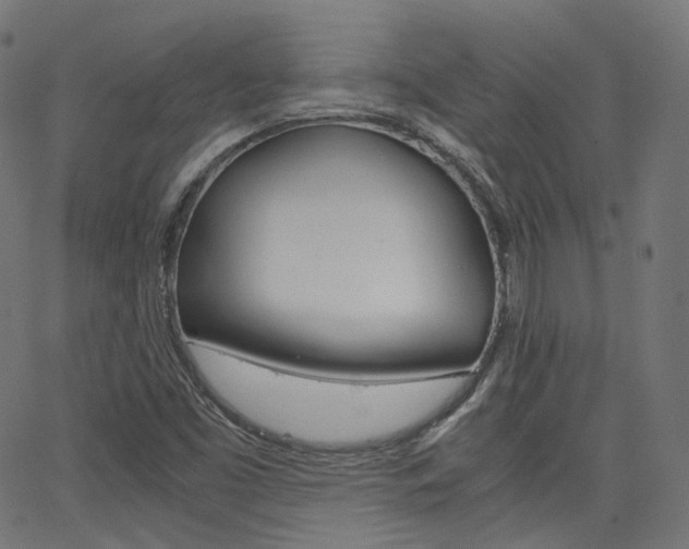 X0000063501453200601201014