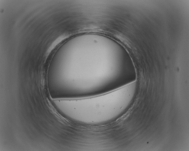 X0000063501458200601201014