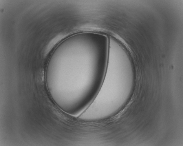 X0000063501461200601201014