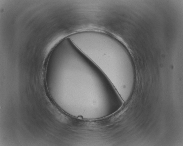 X0000063501463200601201014