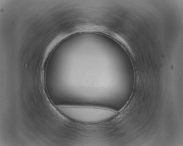 X0000063501472200601201014