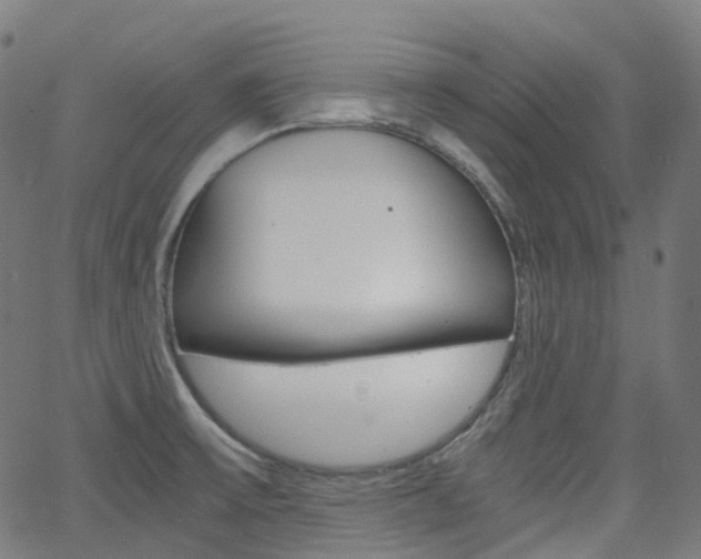 X0000063501475200601201014