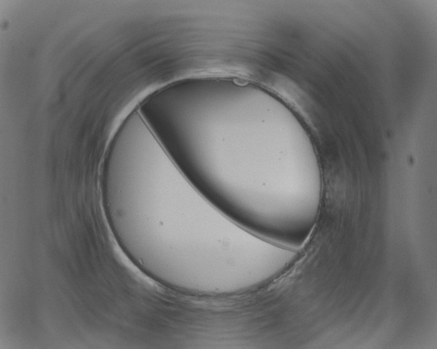 X0000063501476200601201014