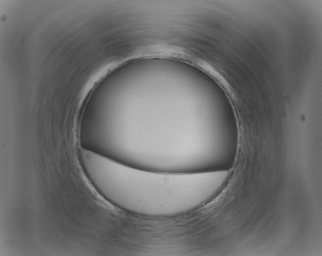X0000063501477200601201014