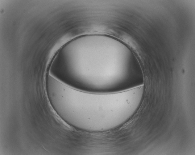 X0000063501480200601201014