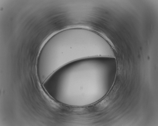 X0000063501484200601201013