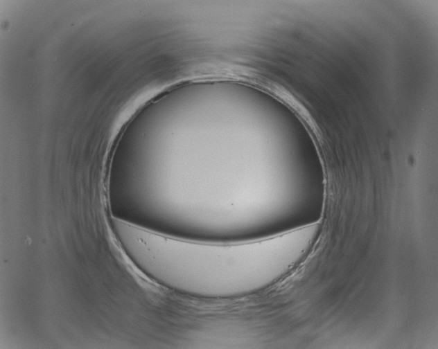 X0000063501485200601201013
