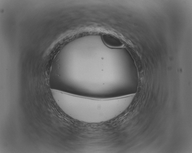 X0000063501495200601201013