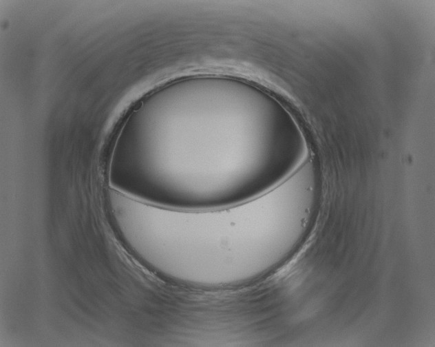 X0000063501506200601201013
