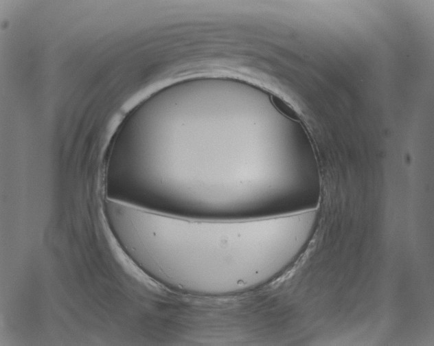 X0000063501526200601201013