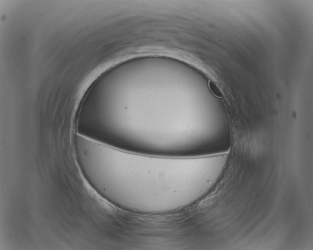 X0000063501527200601201013