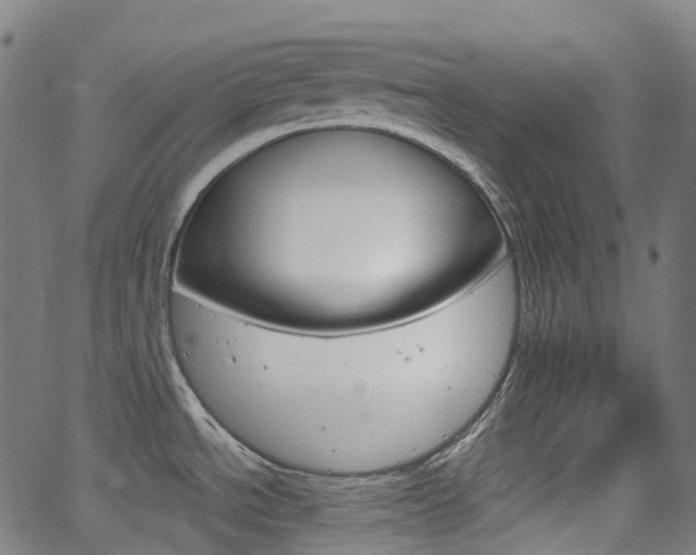X0000063501534200601201013