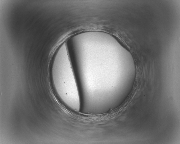 X0000063500005200601201425