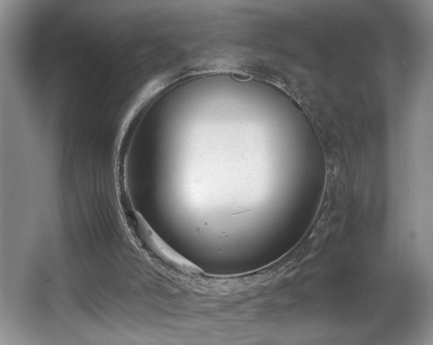 X0000063500006200601201425