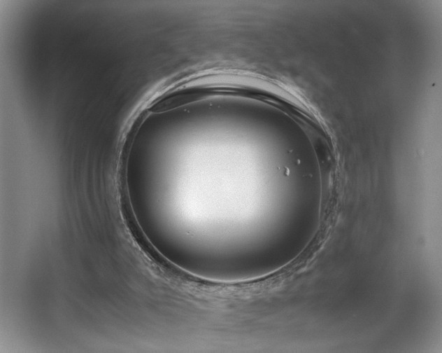 X0000063500007200601201425