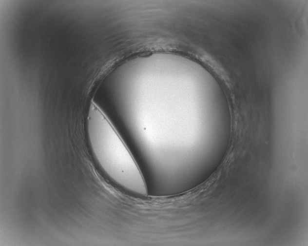 X0000063500009200601201425