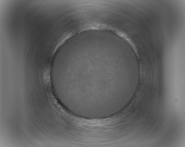 X0000063500010200601201425