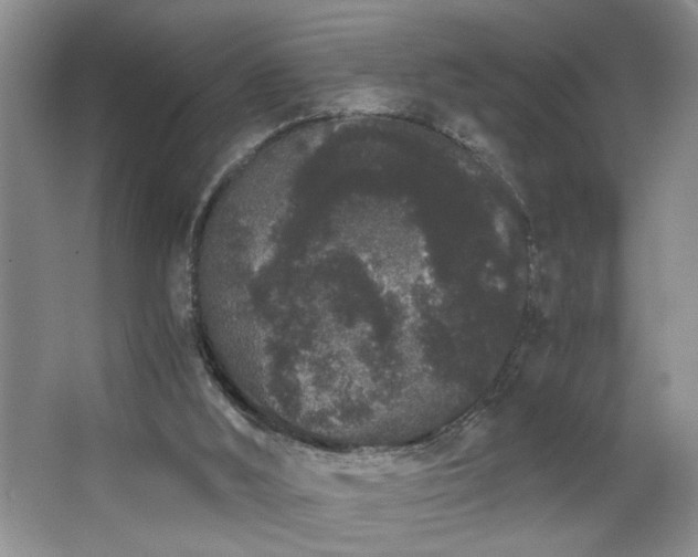X0000063500012200601201425